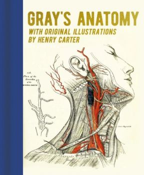 Gray's Anatomy - Henry Gray - 9781398819283 - Arcturus Publishing - Онлайн книжарница Ciela  ciela.com