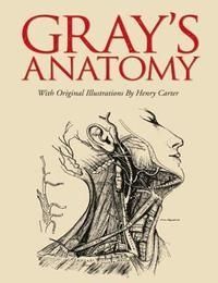 Grays Anatomy - Slipcase edition