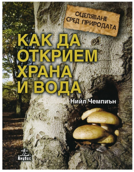 Оцеляване сред природата: Как да открием храна и вода