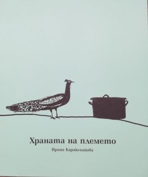 Домашна екология - Ирина Каракехайова - FORMAT.BG - 9789549228045 - Онлайн книжарница Сиела | Ciela.com