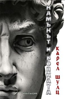 Камъкът и болката - Онлайн книжарница Сиела | Ciela.com