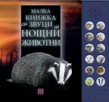 Малка книжка със звуци на нощни животни - Андреа Пинингтън, Каз Бъкингам - Изток - Запад - 9786190114840 - Онлайн книжарница Ciela | ciela.com
