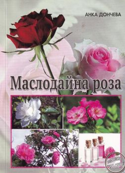Маслодайна роза - Еньовче - Онлайн книжарница Сиела | Ciela.com