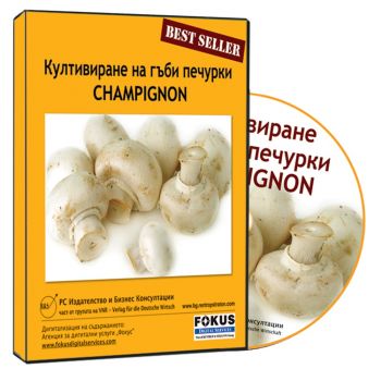 Култивиране на гъби печурки (Champignon)