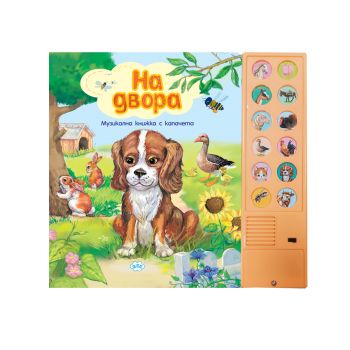 На Двора - музикална книжка с капачета - 9786197089646 - Пух - Онлайн книжарница Ciela | ciela.com