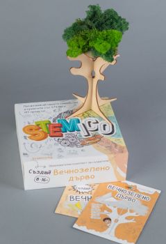 Образователна настолна игра - Вечнозелено дърво - Stemico - Онлайн книжарница Сиела | Ciela.com