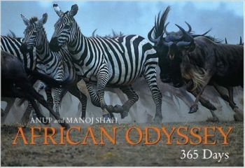 African Odyssey - 365 Days