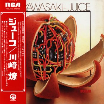 Ryo Kawasaki - Juice - LP