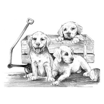 Рисуване графика Royal 29х39 -  Кученца в количка - 090672944351 - Онлайн книжарница Ciela | Ciela.com