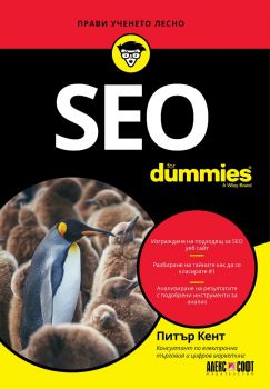 SEO for Dummies