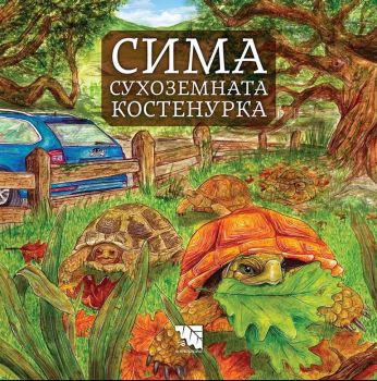 Сима - сухоземната костенурка - Ива Лаловска - Потайниче - Онлайн книжарница Ciela | Ciela.com