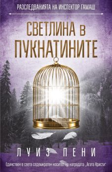 Светлина в пукнатините - Луиз Пени - Софт Прес - 9786191514830 - Онлайн книжарница Сиела | Ciela.com