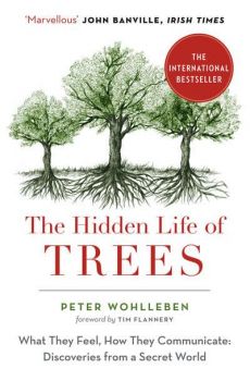 The Hidden Life of Trees - Peter Wohlleben - 9780008218430 - Онлайн книжарница Ciela | Ciela.com