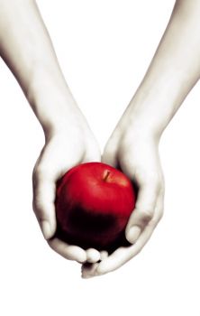 Twilight - Twilight Saga - Stephenie Meyer - 9781907410482 - Онлайн книжарница Ciela | ciela.com