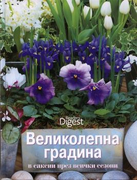Великолепна градина в саксии през всички сезони