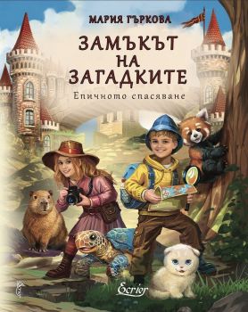 Замъкът на загадките