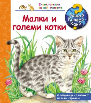 Защо? Какво? Как? Малки и големи котки - Фют - 3800083819325 - Онлайн книжарница Ciela | Ciela.com