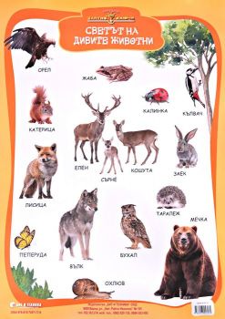 Учебно табло - Светът на дивите животни - Онлайн книжарница Сиела | Ciela.com