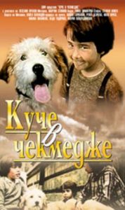 Куче в чекмедже - български филм DVD