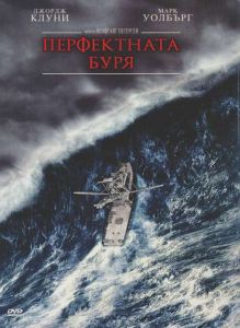 Перфектната буря (DVD)