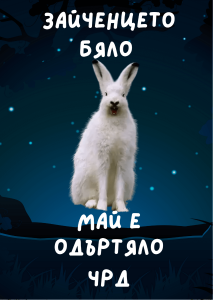 Картичка - Зайченцето бяло май е одъртяло - 1112358001 - АЙ ДИ ЕФ АКАДЕМИ ЕООД - Онлайн книжарница Ciela | ciela.com