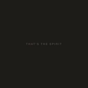 Bring Me The Horizon - That's The Spirit - CD