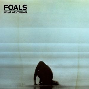 FOALS - WHAT WENT DOWN