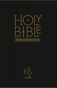 Holy Bible - English Standard Version】Harper Collins • Цена