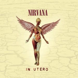 Nirvana ‎- In Utero 20TH ANN - CD