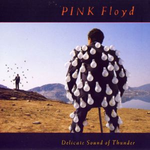 Pink Floyd ‎- Delicate Sound Of Thunder - 2CD