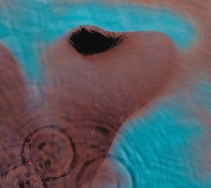 Pink Floyd - Meddle - Remastered - CD
