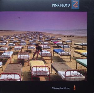 Pink Floyd ‎- A Momentary Lapse Of Reason - LP - плоча